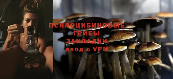 apvp Белоозёрский