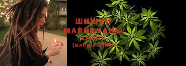 дживик Беломорск