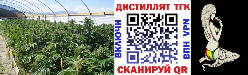 ТГК THC oil  Шебекино 
