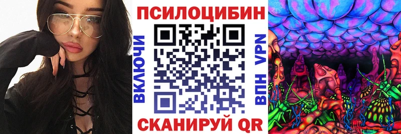 Псилоцибиновые грибы GOLDEN TEACHER  сколько стоит  МЕГА как войти  Шебекино 